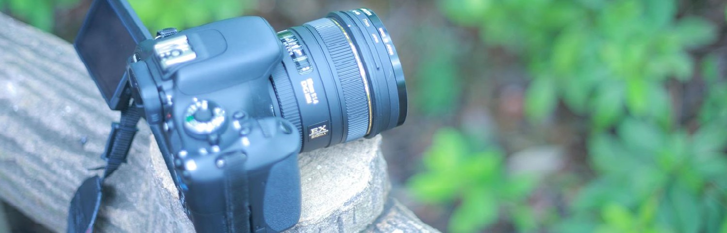 TSU852_ichiganrehurensyu_TP_V